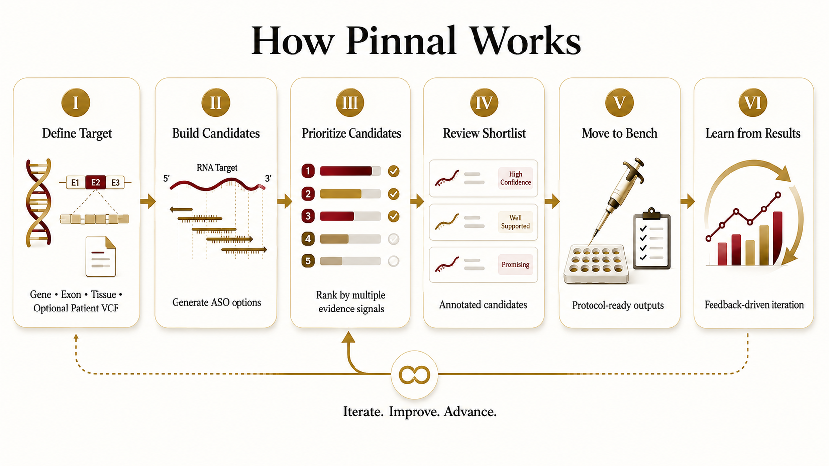 How Pinnal works, in six steps: I. Define target — gene, exon, tissue, optional patient VCF. II. Build candidates — generate ASO options against the RNA target. III. Prioritize candidates — rank by multiple evidence signals. IV. Review shortlist — annotated candidates with confidence. V. Move to bench — protocol-ready outputs. VI. Learn from results — feedback-driven iteration. Iterate. Improve. Advance.